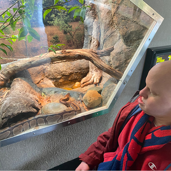 Photo of Julian enjoying the reptile enclosure at Melbourne Zoo